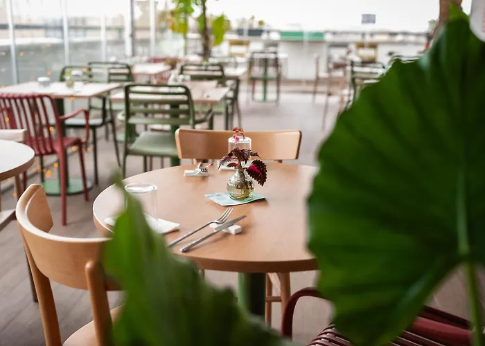 Dotcampus Center Otel Roma